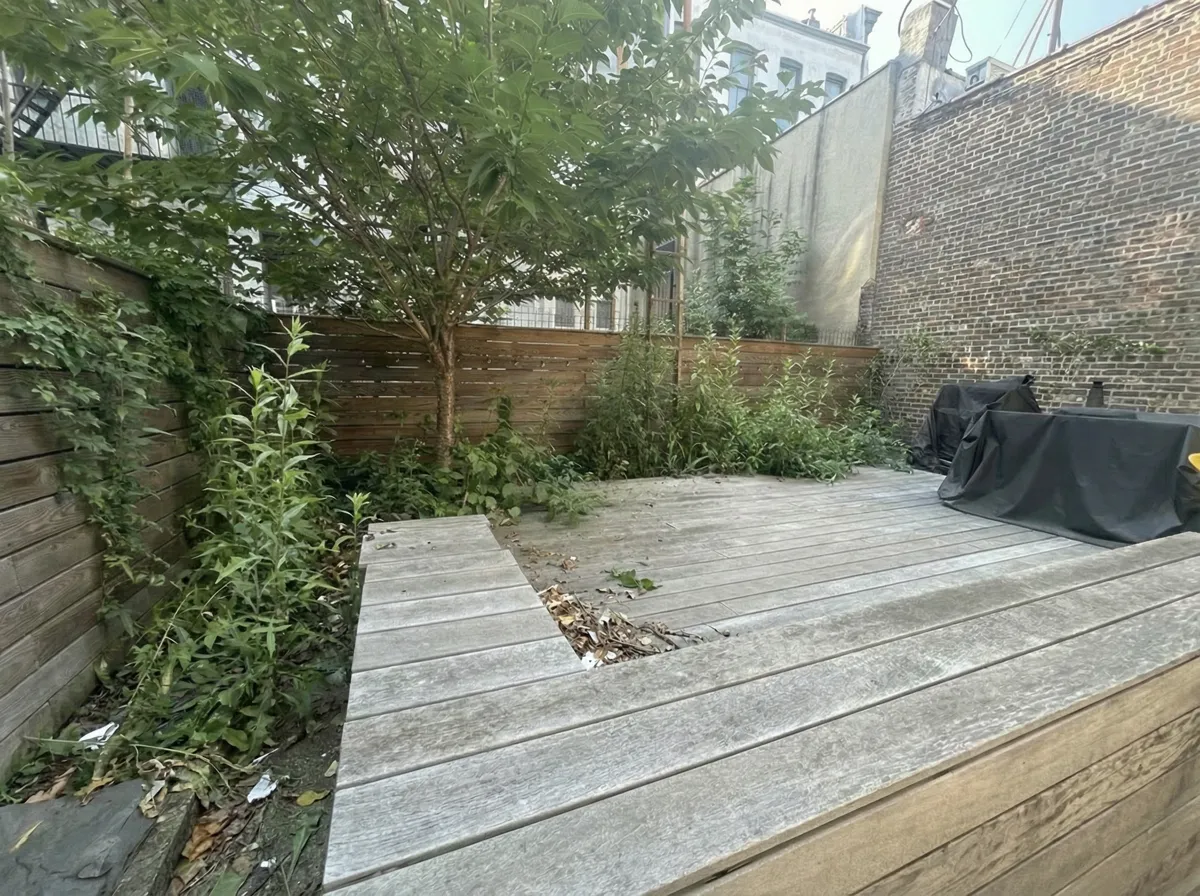 Before: overgrown backyard deck